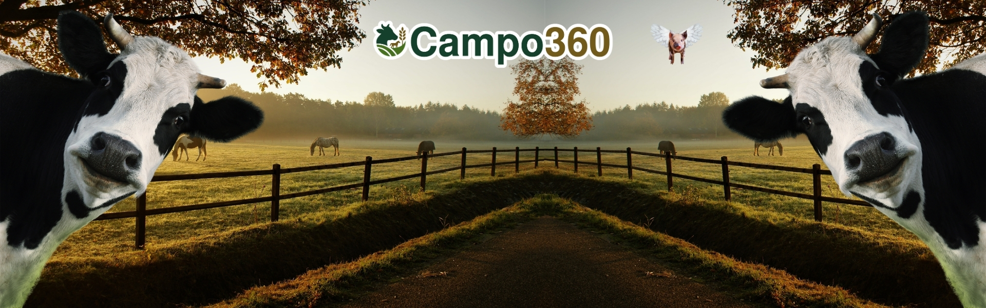 Cover Campo360